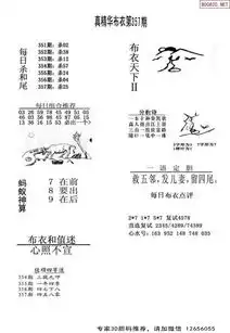 357期真精华布衣123456
