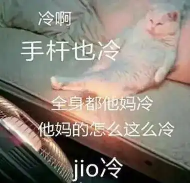 可以当枕头的暖腿宝,盖上5秒暖透全身,拯救千万冻星人

