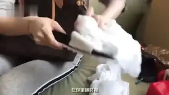 搞笑呆头鹅的个人频道
