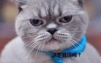 有的英雄好恶心
