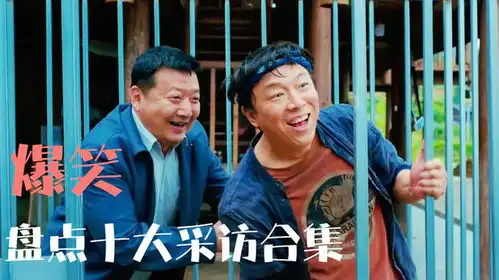 王宝强能采访一下您吗黄渤我先去补个妆盘点十大爆笑采访
