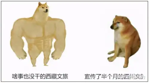 国民级网红丁真,三亚人民喊你来喝椰子看大海
