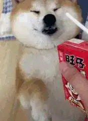 搞笑gif姑娘回头的那一刻,我的眼睛迷住了
