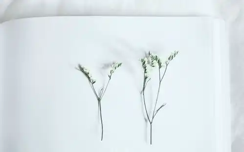 爱人是很卑微的,很卑微的,如果对方不爱你的话时间时候情感
