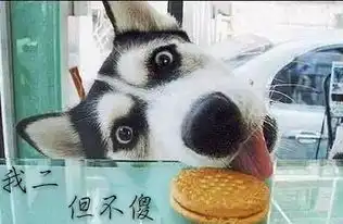 一张图片上面带走扯蛋人生