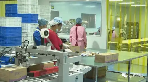 云梦经济开发区完善服务体系实现政企双赢
