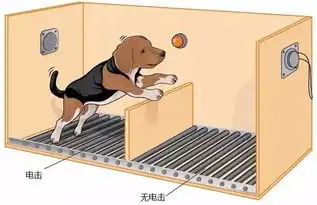让孩子一事无成的魔鬼习得性无助,如何让孩子摆脱习得性无助

