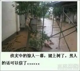 男人的话可以相信了
