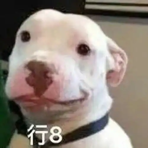 搞笑gif可不可以帮我写张条子,祝你生日快乐
