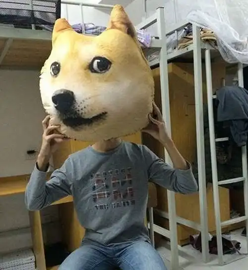 搞笑gif图片笑话段子你偷吃我的鸡腿,还把餐盒撕破了
