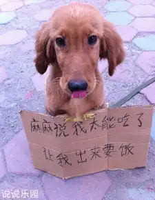 朋友圈搞笑说说配图,朋友圈笑话配图大全
