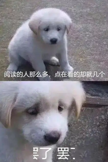 长辈对表情包有哪些误会哈哈哈哈一个比一个离谱
