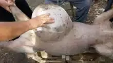 汇聚搞笑奇闻,奇葩妹子带你涨知识
