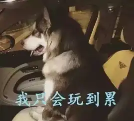 大学里分分钟累成狗的专业,有你的吗
