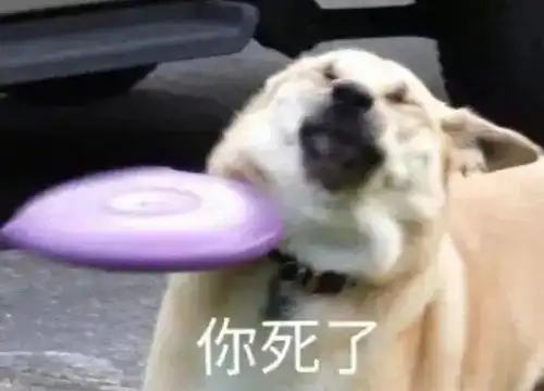 一张照片6套logo方案分分钟教你做人

