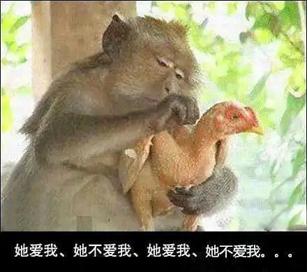 搞笑gif妹子,白天大路你不走非要走玉米地里,能长点心吧
