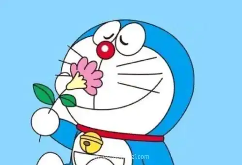 搞笑幽默句子配图片,皮到爆炸
