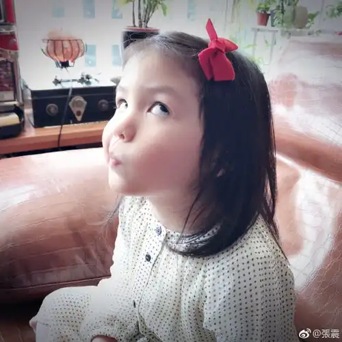 张震女儿小源宝才3岁啊,戴墨镜和舒淇街拍,凹造型酷到炸裂

