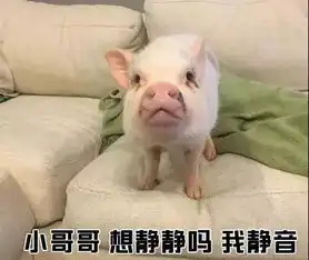 撩小哥哥表情包小哥哥网恋吗我萝莉音