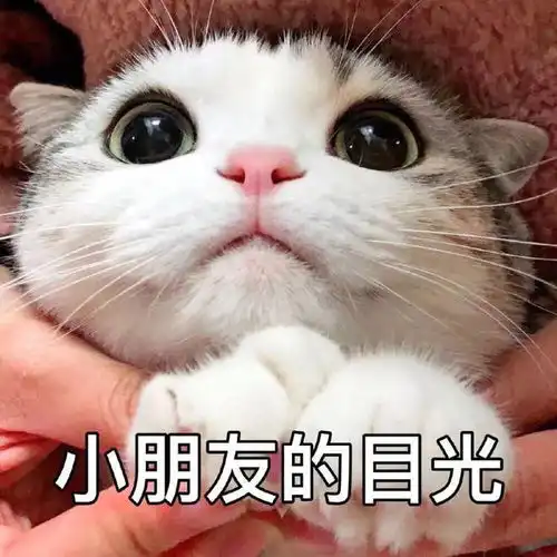 笑话十条杀猪匠两口子打架,下手挺狠的
