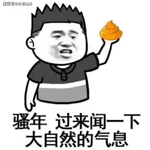 笑gif趣图我是不明白,为啥害怕还非要跑上去玩
