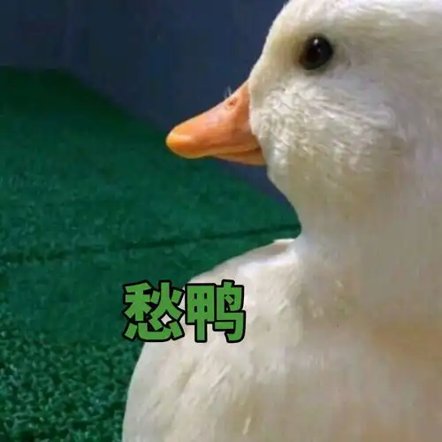 滴滴今起试运营全程录音新版app可一键报警网友录音是否能保证乘车安全
