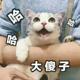 作为一个公民,你报过警吗

