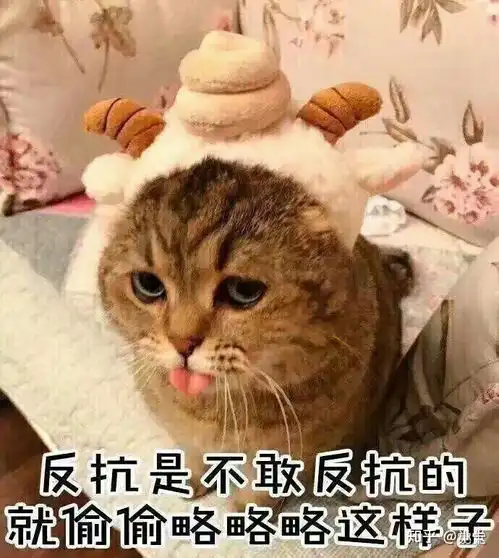 有个不爱撒娇的女友是什么体验

