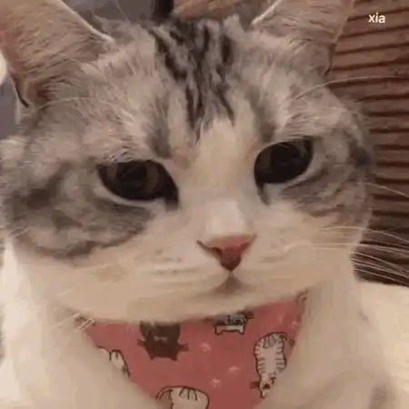 继父能有多坏