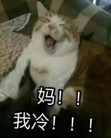 听说神无法无处不在