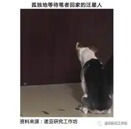 市场动态宠物产业上别再说你累成狗,汪星人幸福着呢
