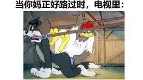 网络上那些搞笑的沙雕图和趣图第16期
