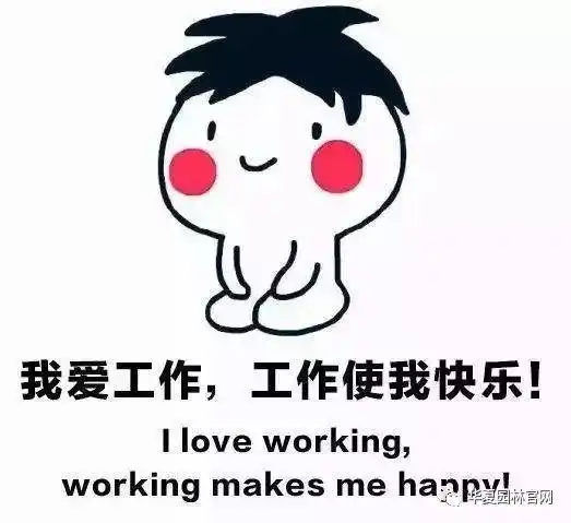工程人朋友圈大着呢优质单身青年多着呢特别适合给未婚女青年介绍对象
