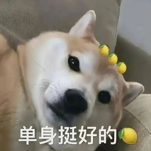 情人节这样发,笑翻朋友圈祝大家情人节快乐,有对象的除外
