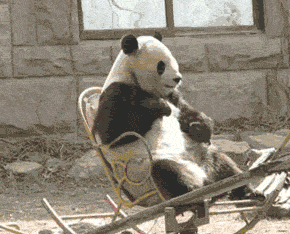 搞笑gif段子以为是个汉子,原来是个萌妹子
