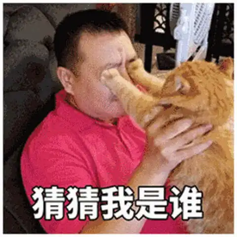 小仙女傲娇表情包,比肉麻情话还可爱,撩得男神大腿发软
