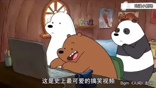 宝宝心里苦啊
