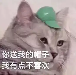 主人花一个月给猫咪成功配对,猫仔生出来后,猫爸爸傻眼了.....
