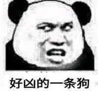 作文素材出乎你的意料之孔子,一个普通而不凡的人哔哩哔哩
