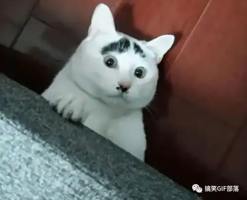 妹子打桌球的技术还是不错的,大致控制了白球的行走路线
