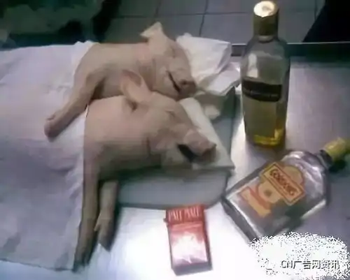 梦想的广告圈与现实的广告圈差别咋这么大呢
