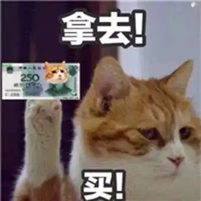 老婆,去年双十一屯的货你用完了吗

