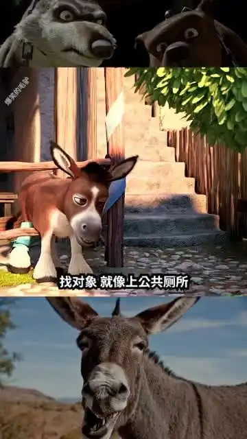 倔驴子爆笑搞笑找对象就像上厕所
