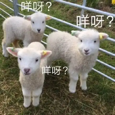 有哪些沙雕表情包