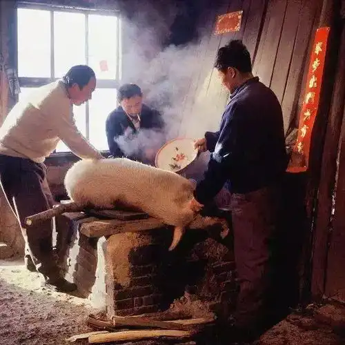 八十年代的回忆,看得人脸红心跳
