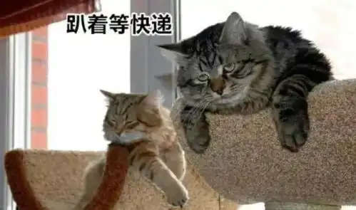 我的包裹为何卡在路上不动了上海快递变慢是因为
