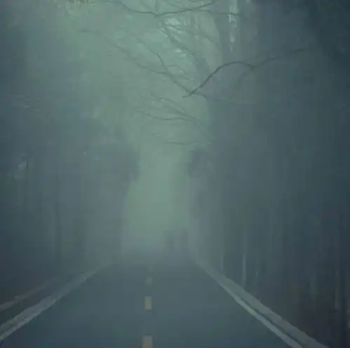 如何在雾霾天气拍出简约派艺术照
