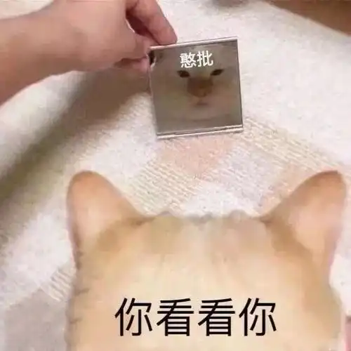 搞笑表情包图片让他看清自己,照妖镜
