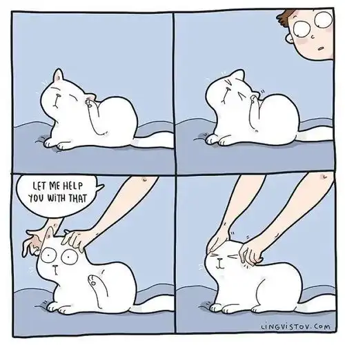 一组有趣的图片告诉你这就是养猫以后的生活
