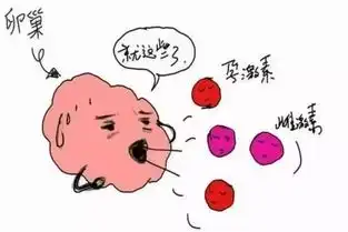 了解一下,女人到了更年期年龄做好怎样治疗更年期准备,预防疾病的发生

